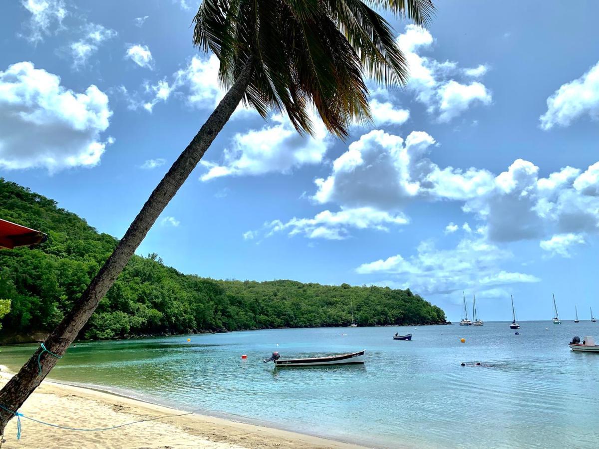 Chez Marie Andre Et Jeanne Apartment Grande Anse Luaran gambar